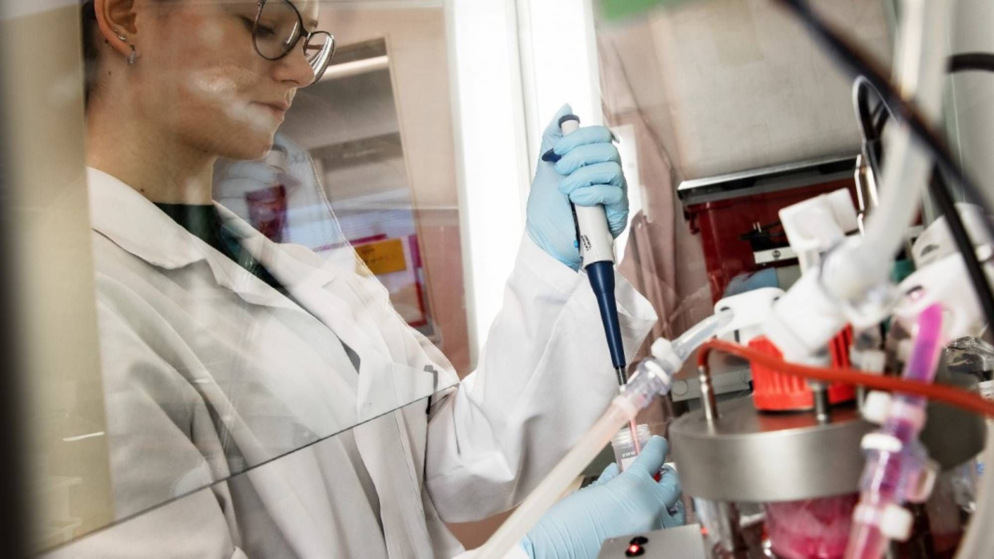 В ВОЗ определили, в каких странах циркулируют опасные мутации В ВОЗ определили, в каких странах циркулируют опасные мутации