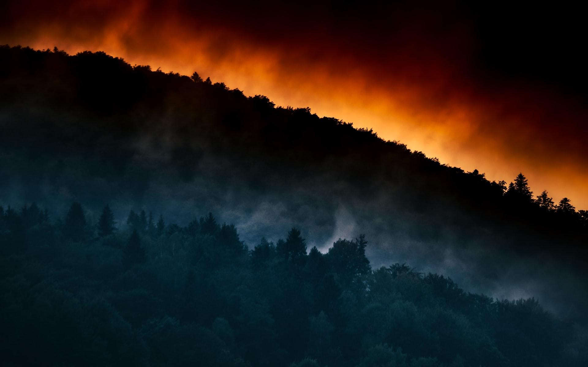 Наслідки лісових пожеж щорічно вбивають десятки тисяч людей - Новини Здоров’я