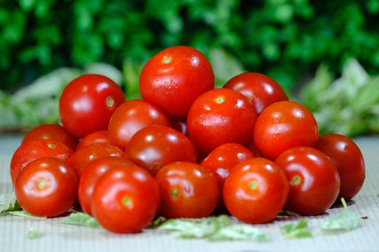 У Японії почали продавати томати проти гіпертонії – в них редагований геном - Новини Здоров’я