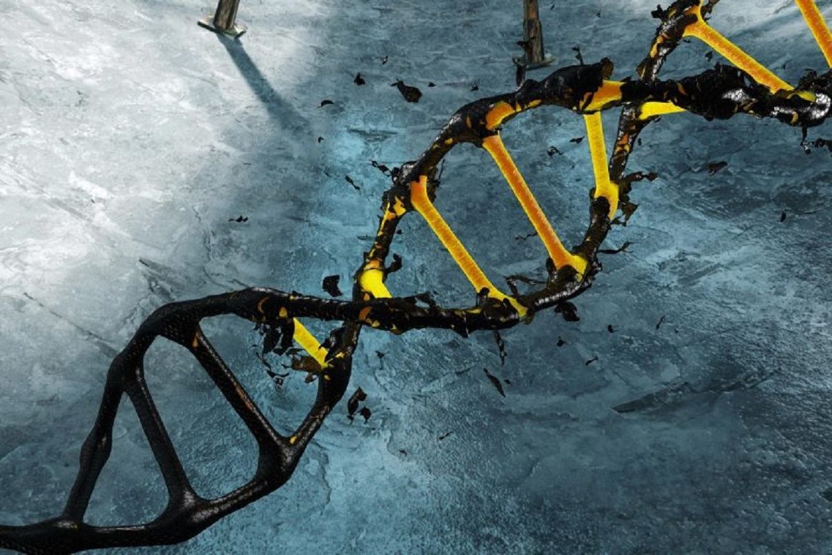 Знайшли докази великої епідемії коронавірусу 20 тисяч років тому - Новини Здоров’я Знайшли докази великої епідемії коронавірусу 20 тисяч років тому - Новини Здоров’я