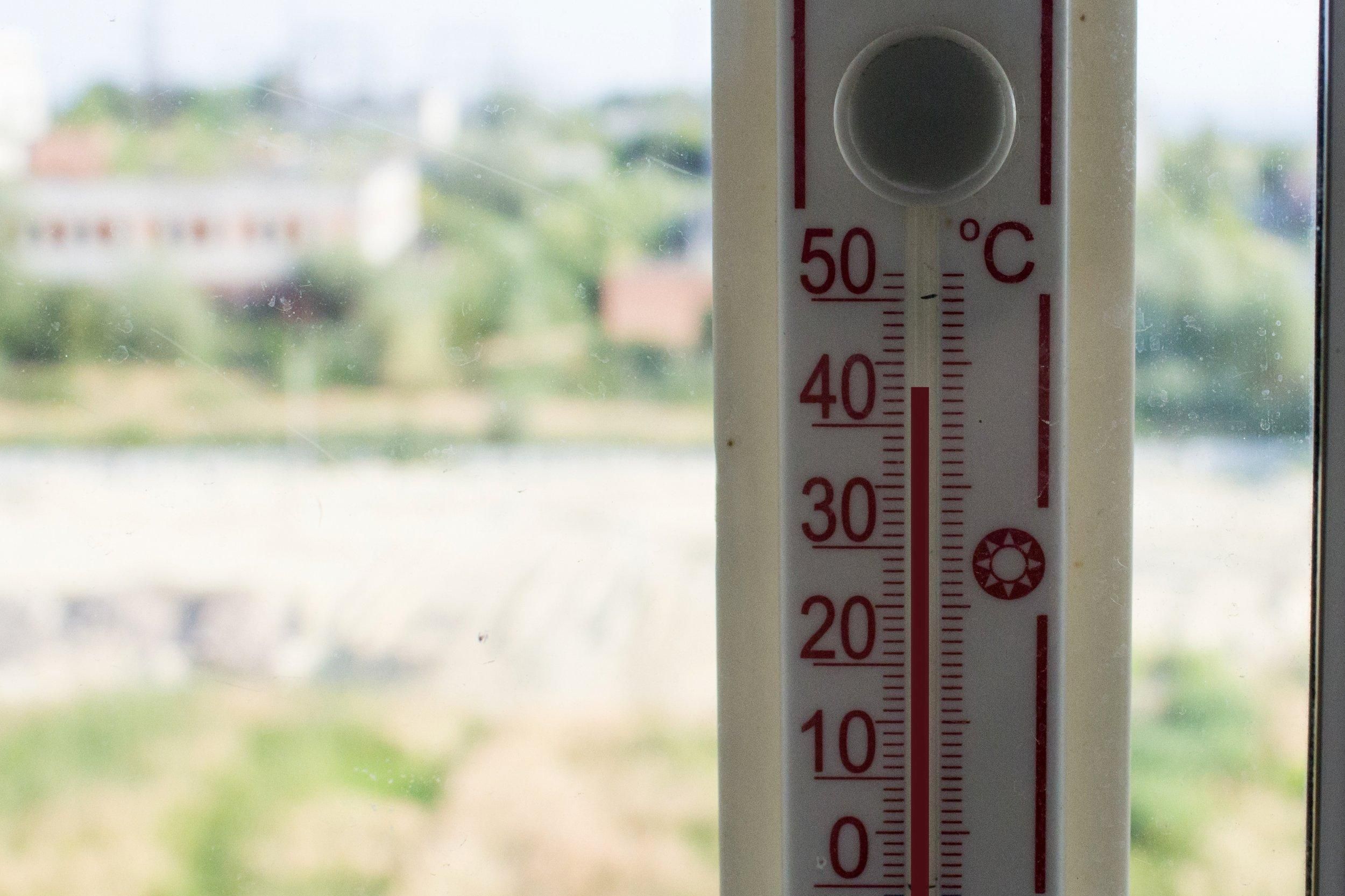 Человечество ждет эпидемия почечных заболеваний Человечество ждет эпидемия почечных заболеваний