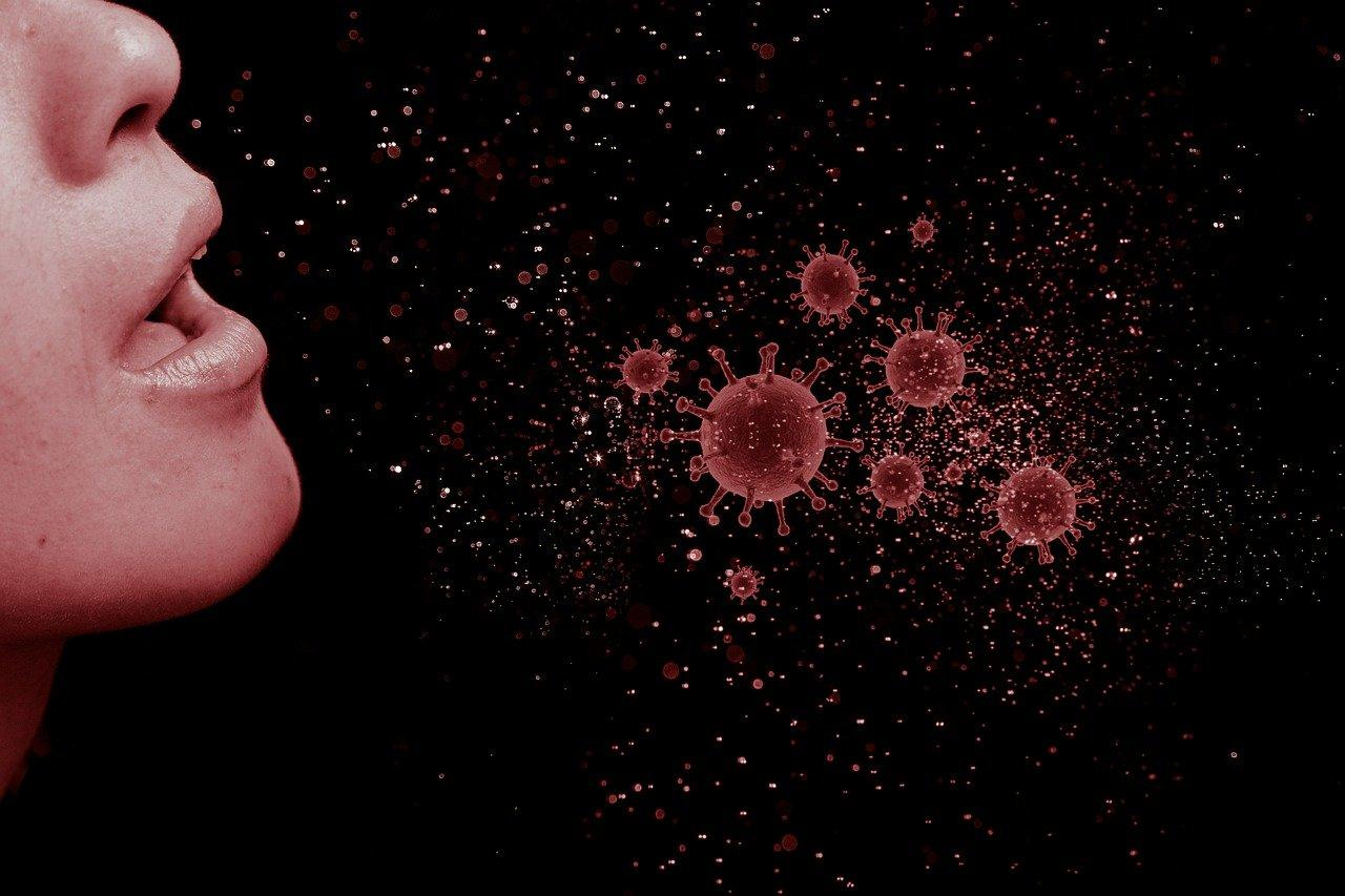 Влияние даже незначительных коронавирусов формирует иммунитет против SARS-CoV-2: исследование