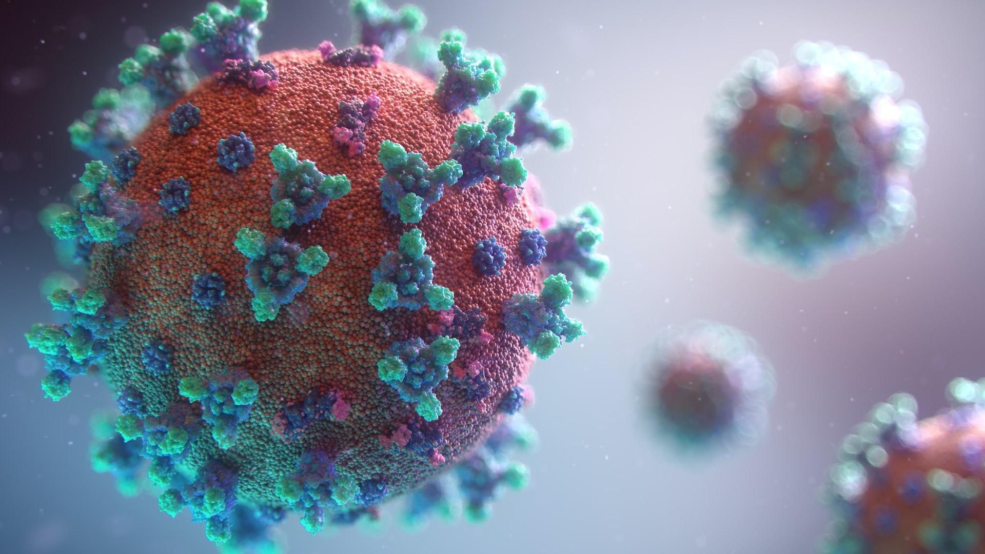 Новый штамм коронавируса Омикрон из ЮАР: симптомы