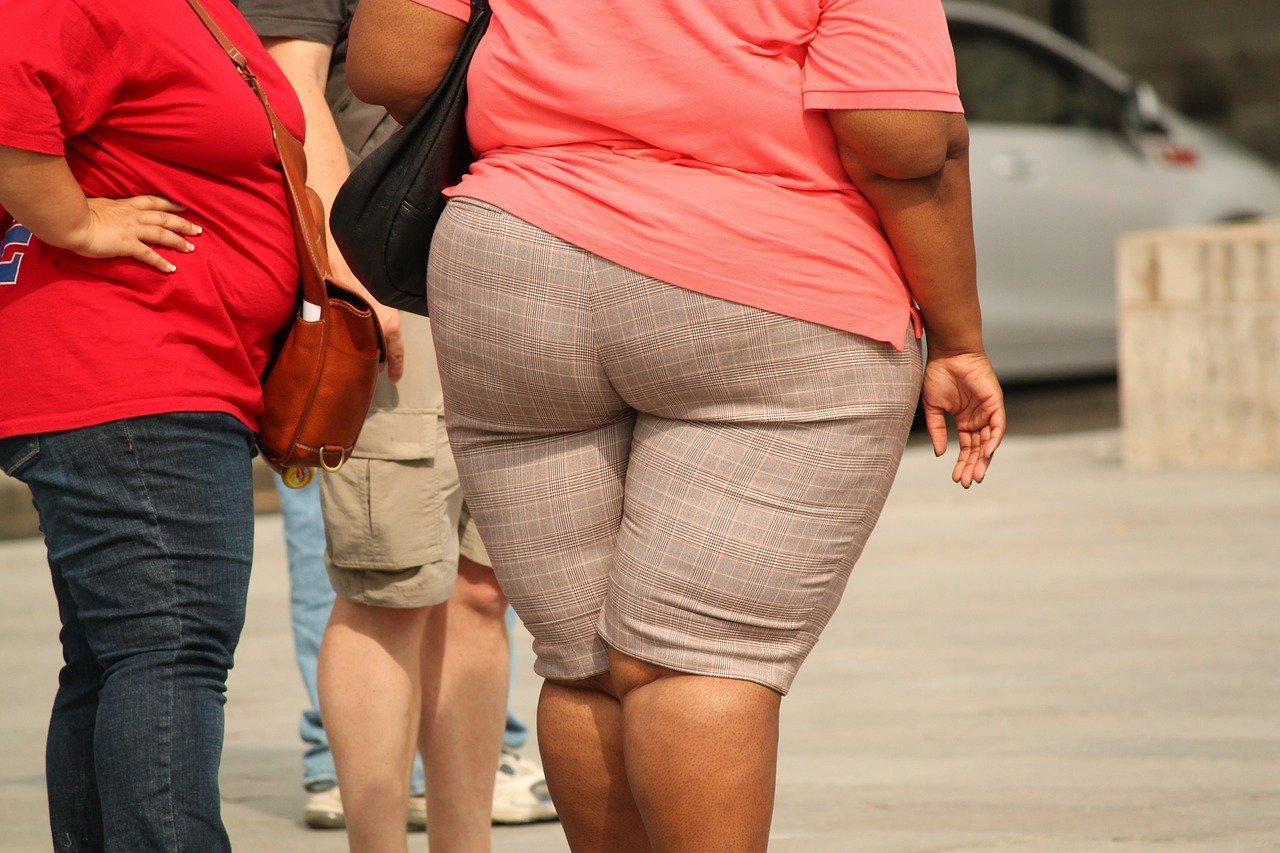 Недостаток белка в рационе провоцирует ожирение - Новости Здоровье