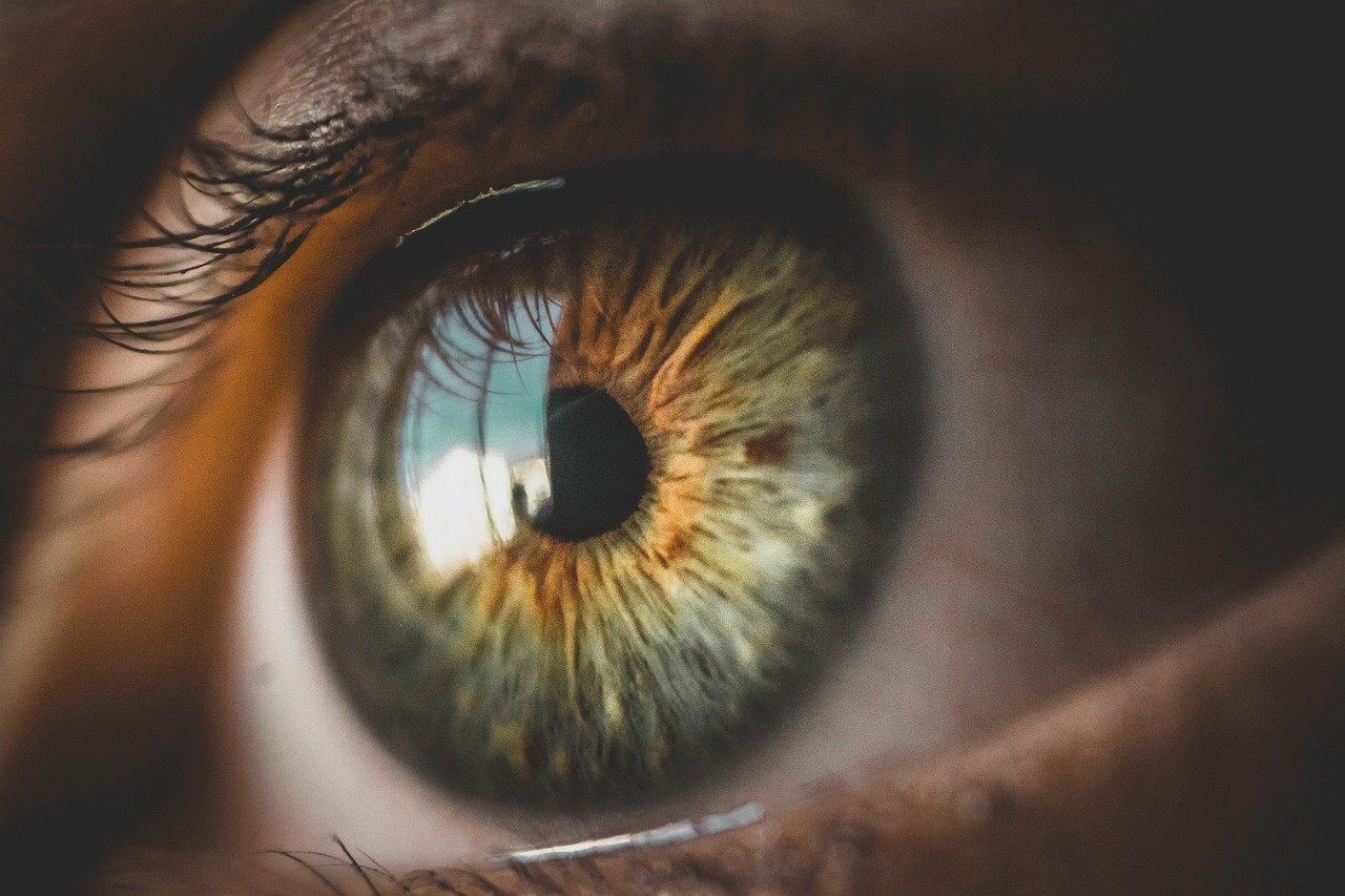 Очки для чтения уже не требуются: в США одобрили инновационные капли для глаз