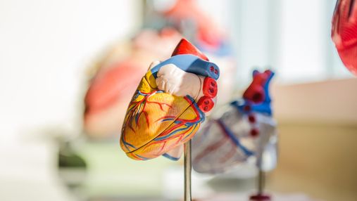 Як визначити чи є у вас схильність до серцево-судинних захворювань 