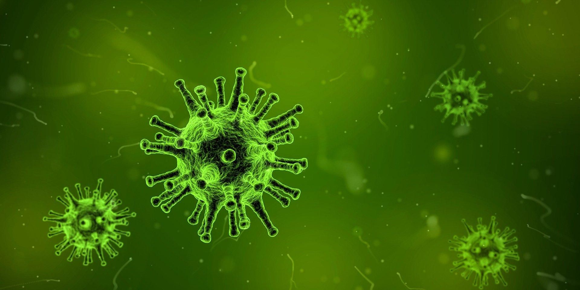 У ЦГЗ пояснили, чому потрібно вакцинувати від грипу навіть розпал епідемії - 24 Канал