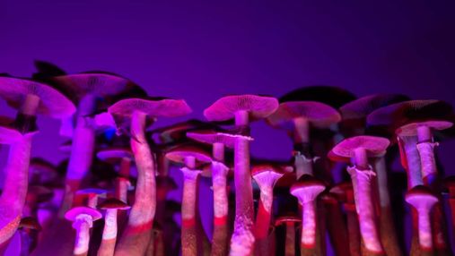 Галюциногенні гриби виявились неефективними у боротьбі з деякими станами
