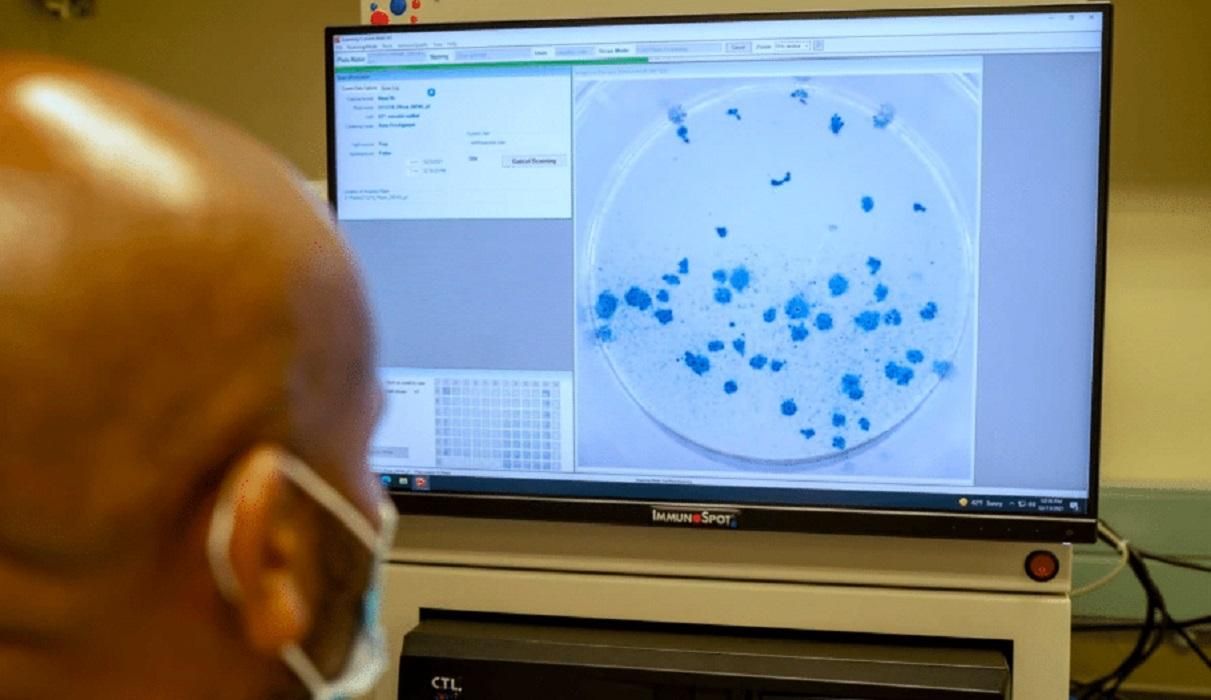 Як антитіла після Омікрону справляються з іншими штамами - Новини Здоров’я Як антитіла після Омікрону справляються з іншими штамами - Новини Здоров’я