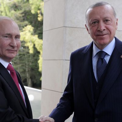 Ердоган каже, що "у постійному контакті" з Путіним і намагається "прокласти шлях до миру"