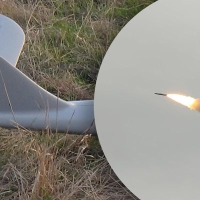 ВСУ сбили над Днепропетровщиной вражеский беспилотник: обломки упали в поле
