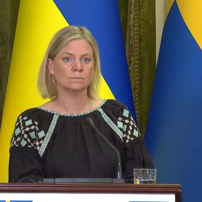 Прем'єрка Швеції одягла вишиванку на зустріч з Зеленським: фото з Києва