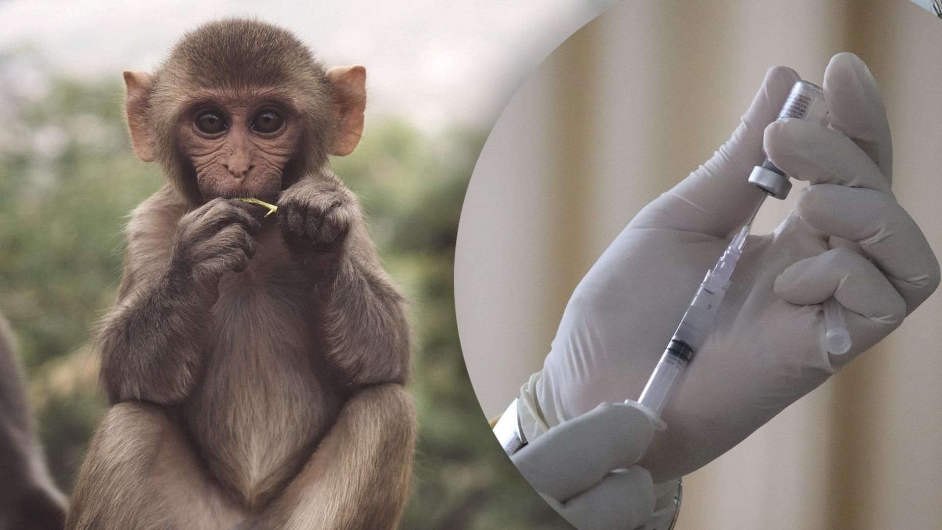 Вакцинація проти віспи мавп
