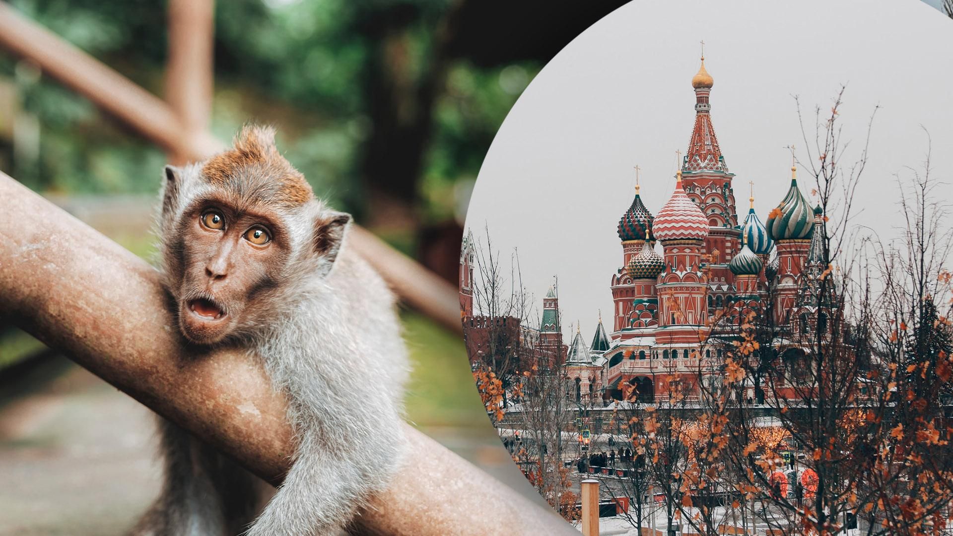 Мавп'яча віспа у Росії Мавп'яча віспа у Росії