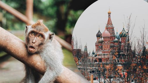 В росії виявили перший випадок мавпячої віспи