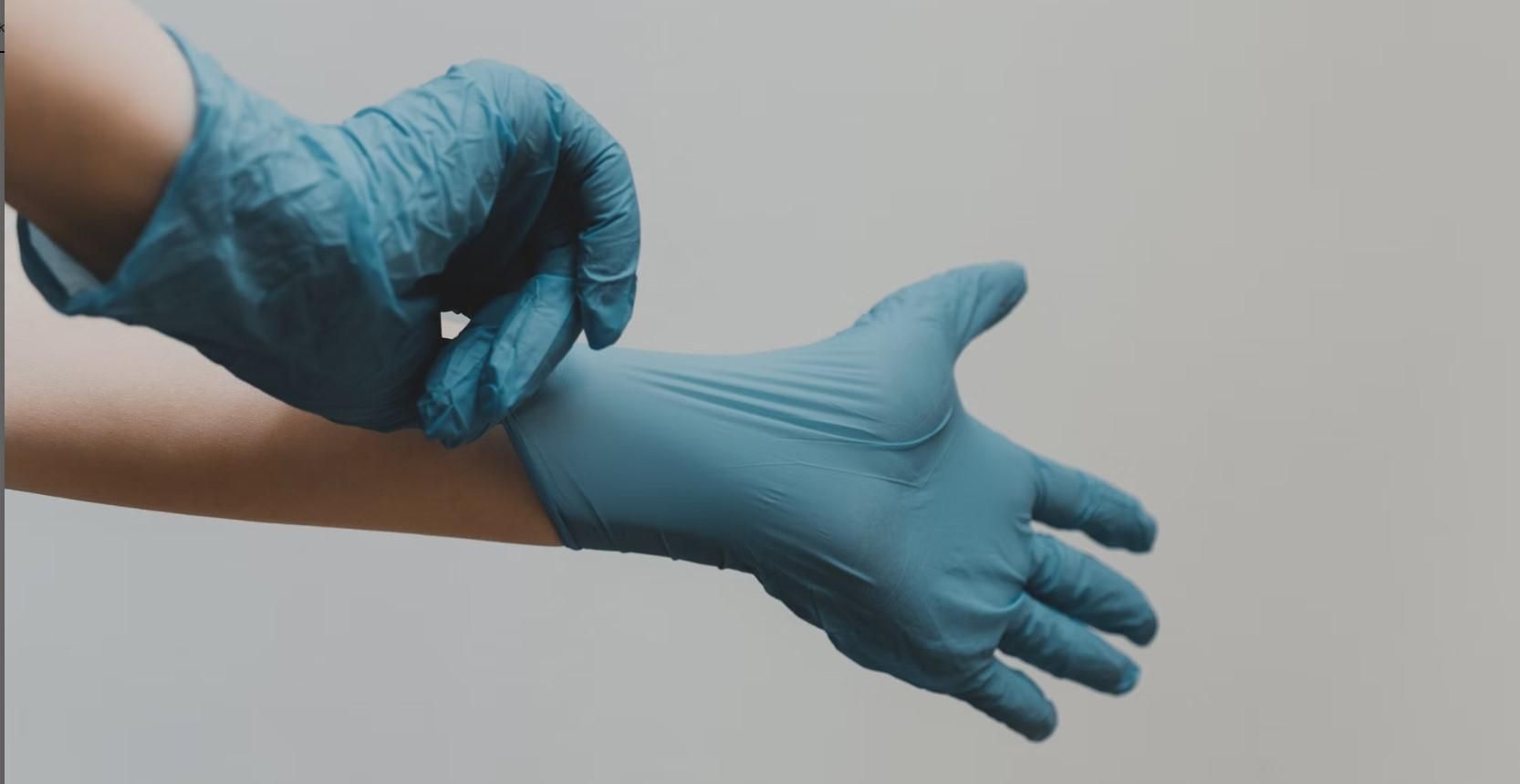 Дирофилярий Дирофилярий