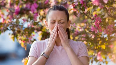 Что такое аллергический ринит и как с ним бороться
