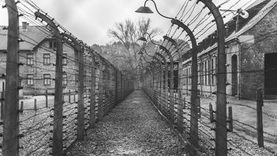Чому у жінок в концтаборах зникали місячні: нові докази