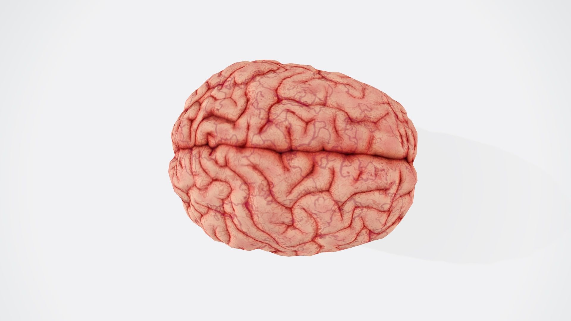 Мозок