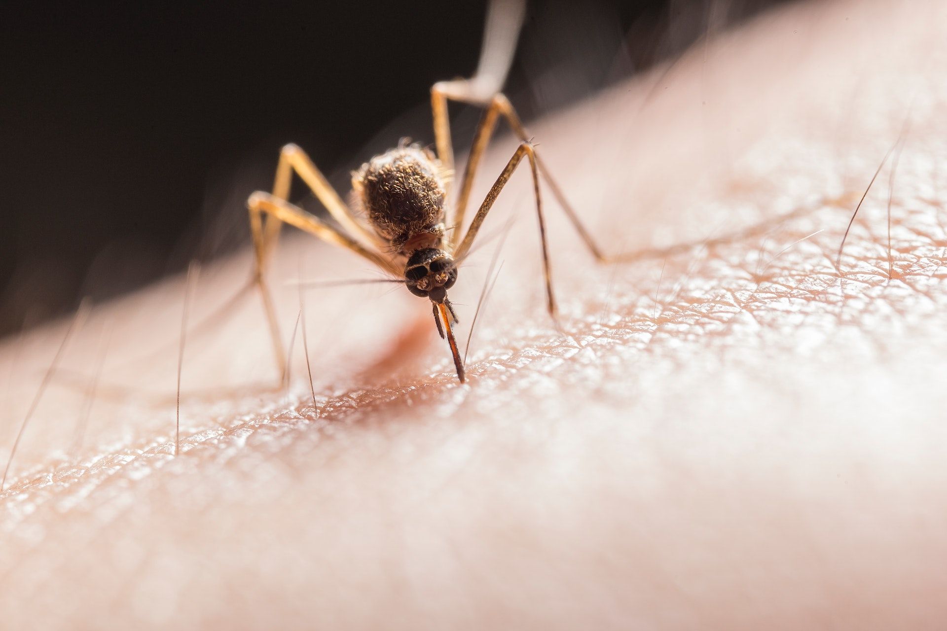 Засоби проти комарів
