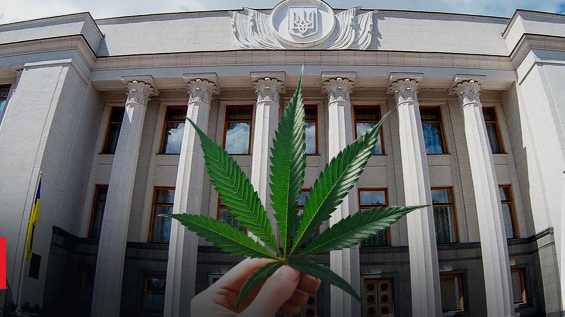 Раду призвали легализовать медицинский каннабис Раду призвали легализовать медицинский каннабис