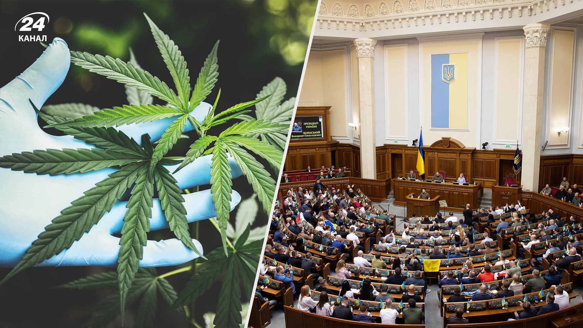 В Україні легалізували медичний канабіс - Здоровʼя 24