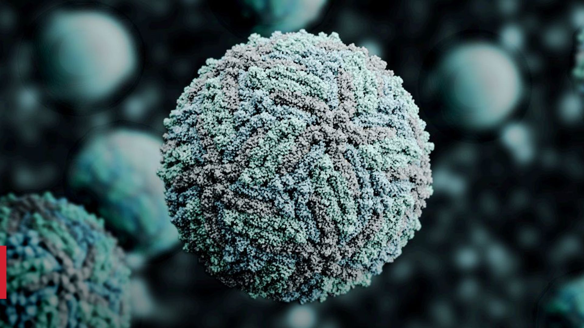 Вірус Зіка може бути ефективним у лікуванні раку 