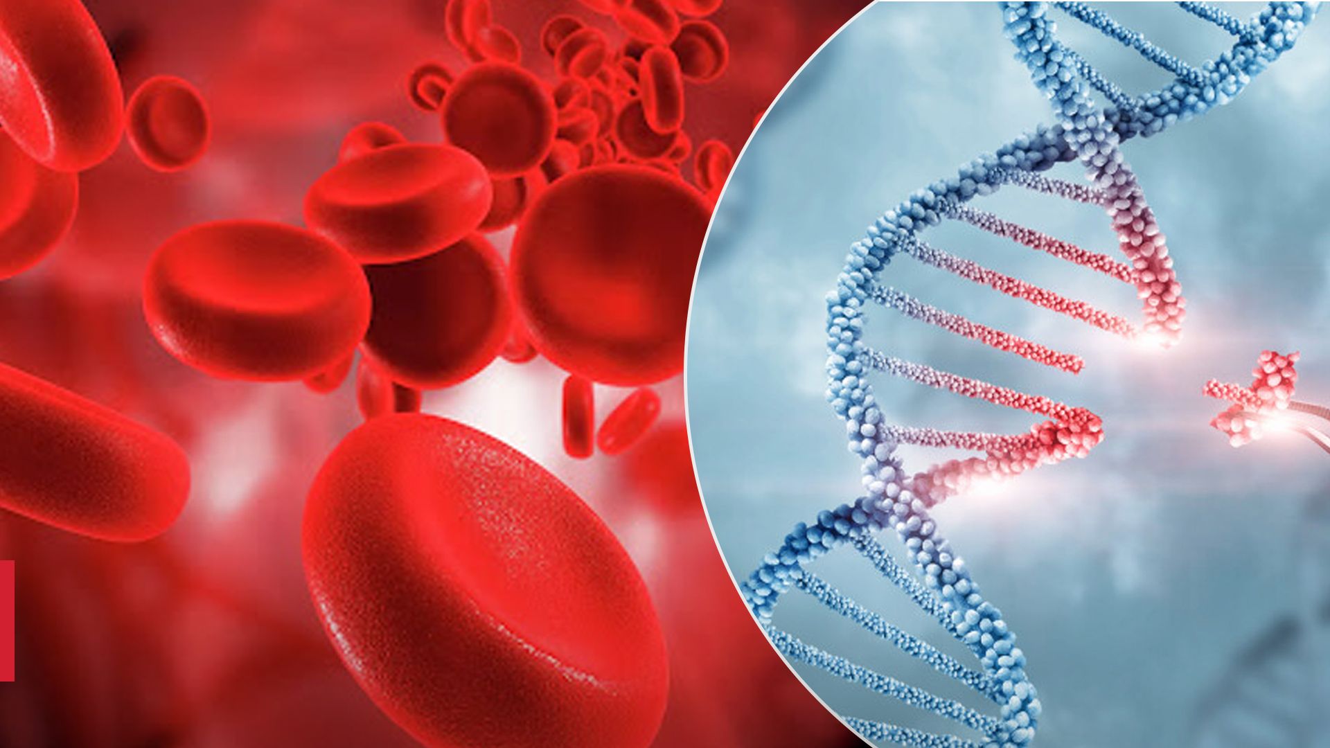 Метод "генетичних ножиць": схвалили терапію для лікування рідкісної хвороби крові - Здоровʼя 24