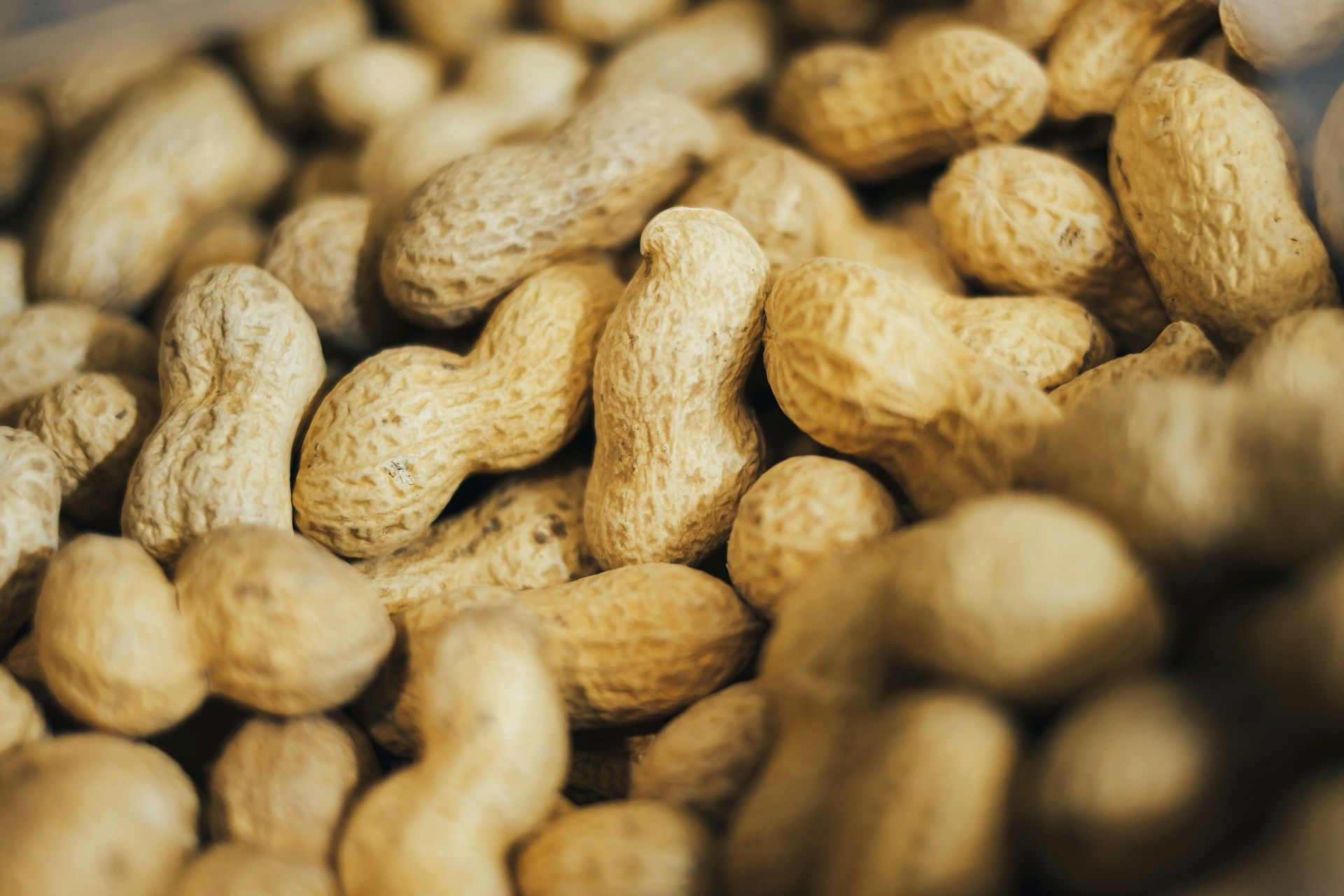 В США одобрили первый препарат, который снижает риск возникновения пищевой аллергии