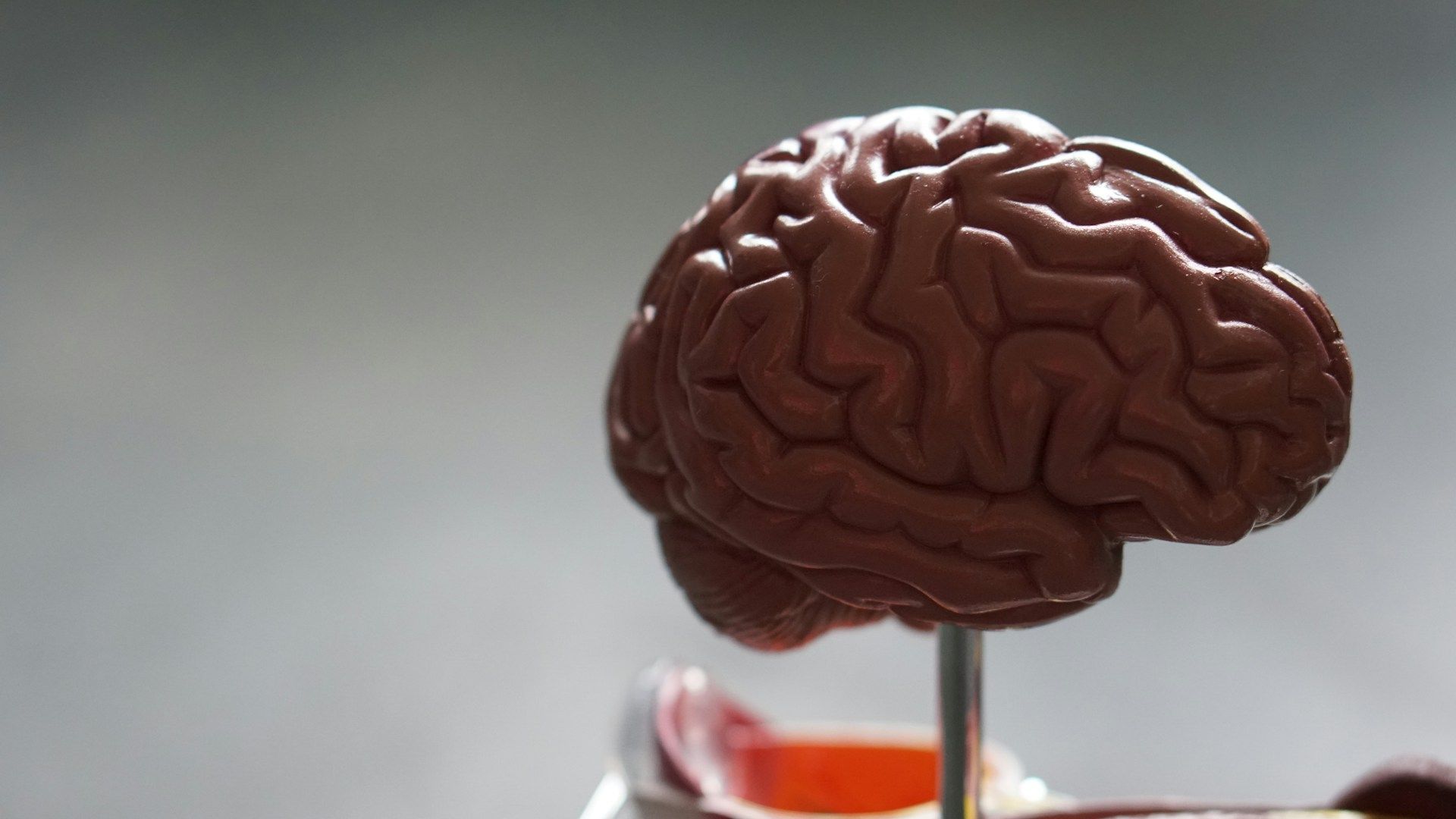 Карта мозку допоможе розкрити таємниці Альцгеймера 