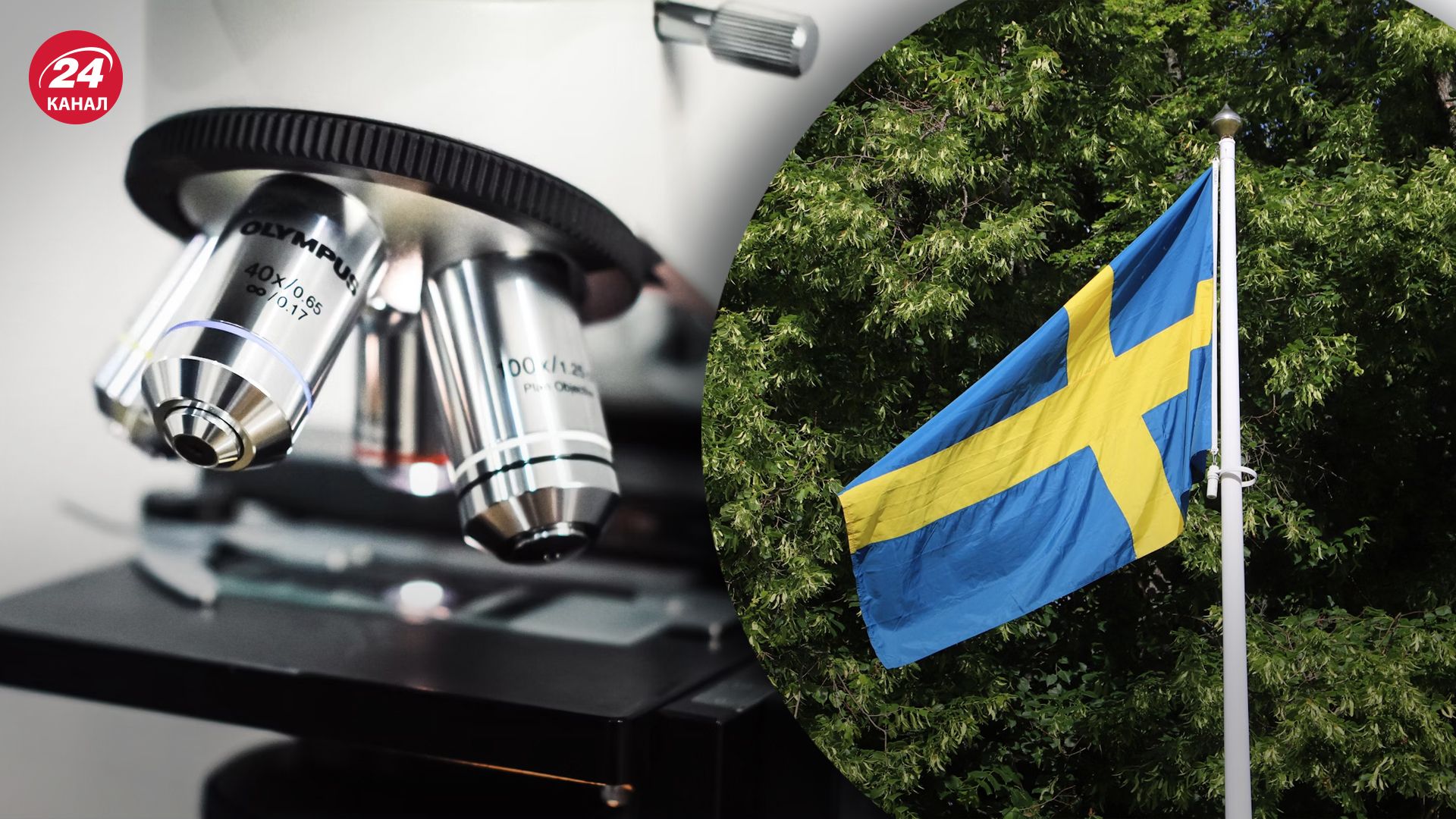 У Швеції зафіксували першого хворого на мавпячу віспу У Швеції зафіксували першого хворого на мавпячу віспу