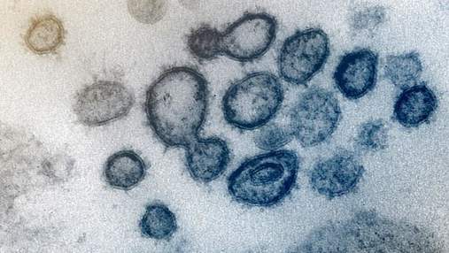 Открыли 4 новых факта о коронавирусе