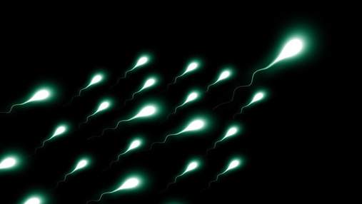 Действительно ли число сперматозоидов у мужчин сократилось вдвое